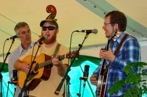 Well Strung Trio